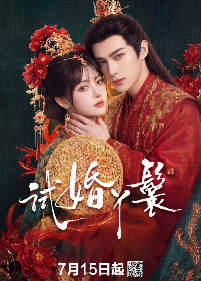 试婚丫鬟海报