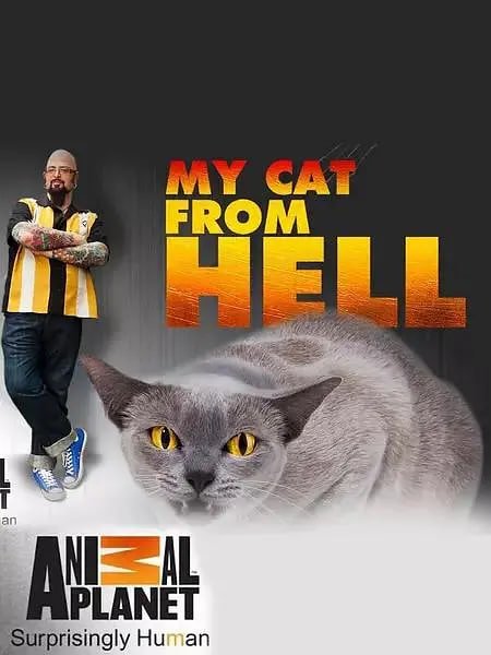 家有恶猫 第七季海报