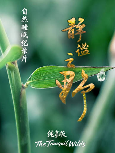 静谧之野 纯享版海报