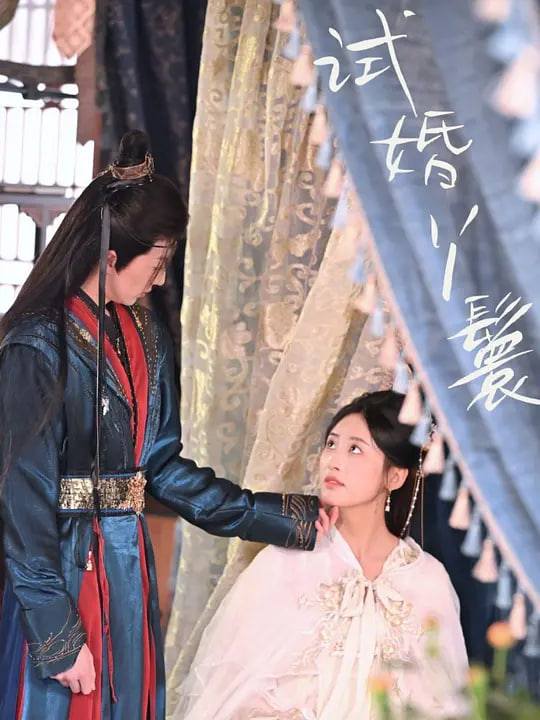试婚丫鬟海报