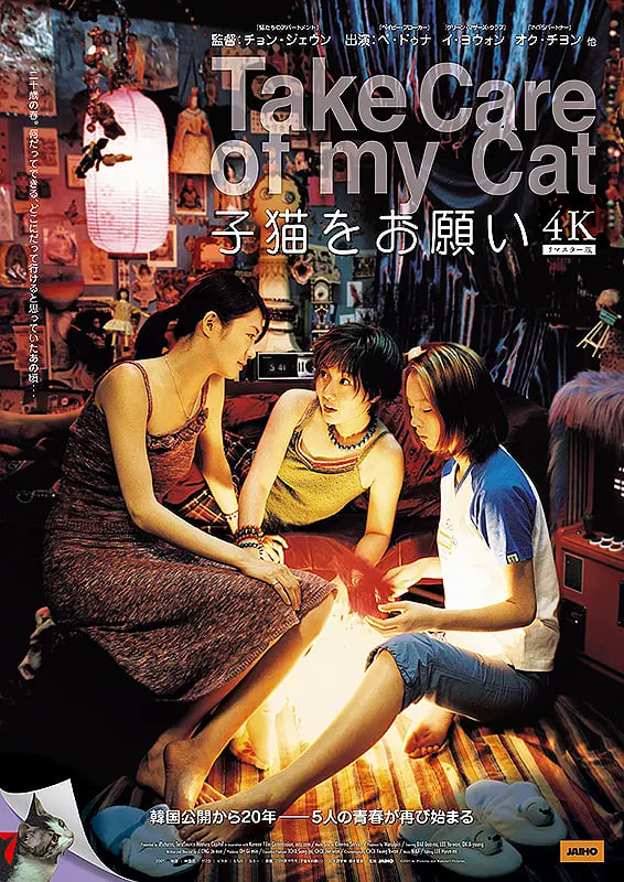 猫样少女海报