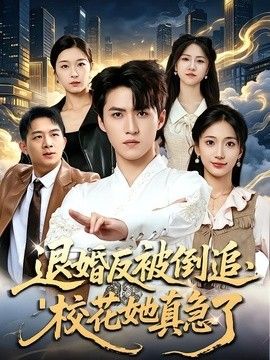 退婚反被倒追，校花她真急了海报