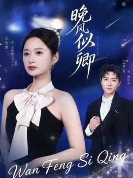 晚风似卿海报