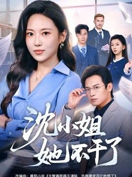 沈小姐她不干了海报