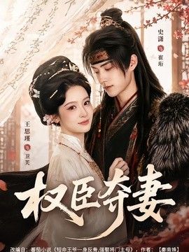 权臣夺妻海报