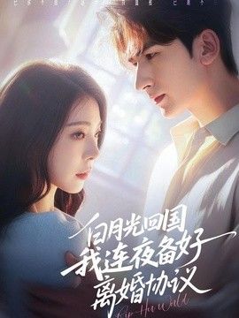 白月光回国我连夜备好离婚协议海报