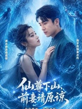 仙尊下山，前妻请原谅海报