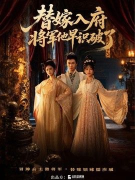 替嫁入府，将军他早识破了海报
