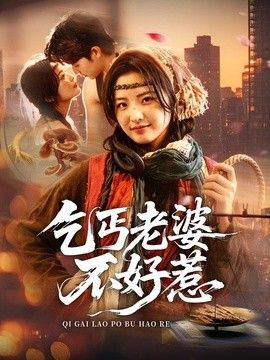 乞丐老婆不好惹海报