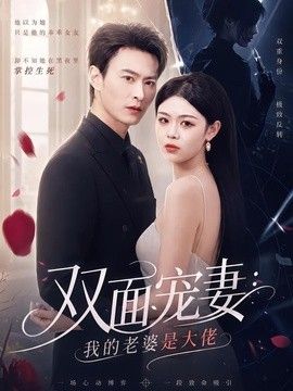 双面宠妻：我的老婆是大佬海报