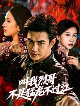 叫我烈哥，不是猛龙不过江海报
