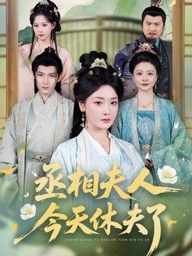 丞相夫人，今天休夫了海报