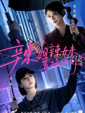 辣姐辣妹置换计划海报