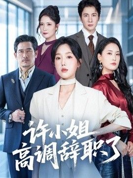 许小姐 高调辞职了海报