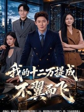 我的十二万提成不翼而飞海报