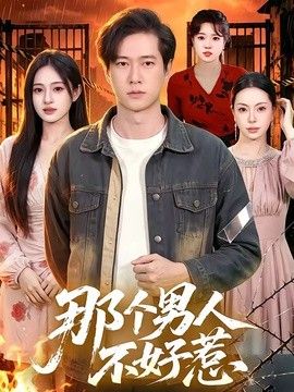 那个男人不好惹海报