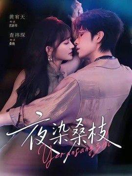 夜染桑枝海报